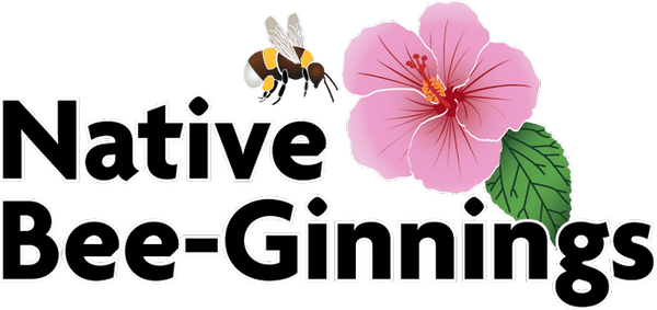 Native BEE-Ginnings