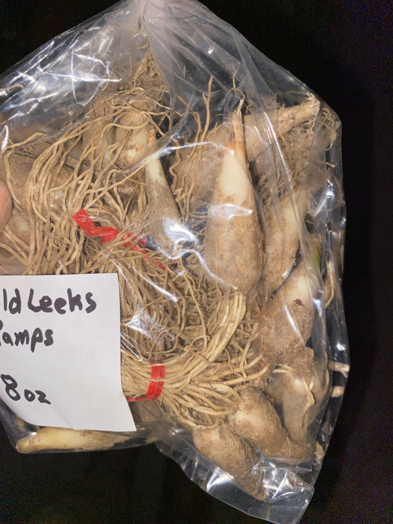 Allium tricoccum - Native BEE-Ginnings